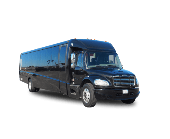 Grech Mini Coach illustration